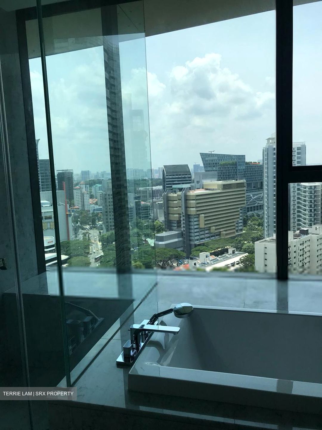 New Futura (D9), Condominium #608356221